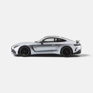 Mercedes-AMG GT 63 PRO 4MATIC+ hightech silver metallic NZG 1:18 Metallmodell