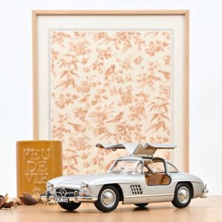 Mercedes-Benz 300 SL 1954 Silver   Norev 1:18 Metallmodell 2 Türen, Motorhaube und Kofferraum zu öffnen!