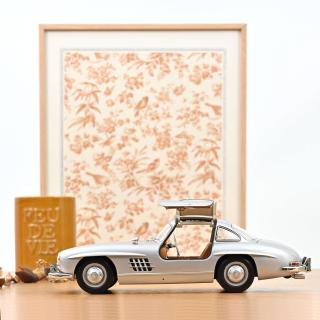 Mercedes-Benz 300 SL 1954 Silver   Norev 1:18 Metallmodell 2 Türen, Motorhaube und Kofferraum zu öffnen!