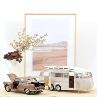 Peugeot 404 1965 - Brown metallic with Caravan Hénon Norev 1:18