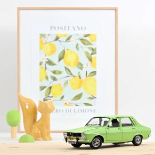 Renault 12 TS 1973 Light Green   Norev 1:18 Metallmodell 2 Türen und Motorhaube zu öffnen!