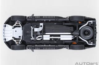 Ford F-150 Raptor Supercrew 2019 (agate black) (composite model/doors and front hood openings) AUTOart 1:18