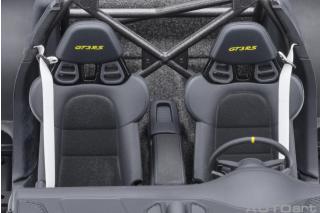 PORSCHE 911 (991.2) GT3 RS (CRAYON)  AUTOart 1:18