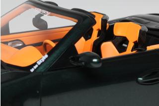 OLD & NEW Porsche TOKYO AUTO SALON GREEN 2024 GT Spirit 1:18 Resinemodell (Türen, Motorhaube... nicht zu öffnen!)