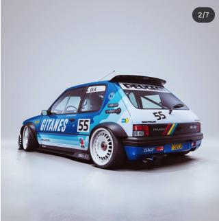 PEUGEOT 205 GTI BLACKFISH G TRIBUTE 1990 S1801720 Solido 1:18 Metallmodell